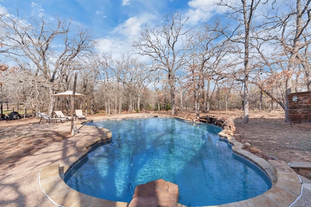 view of pool with a patio area