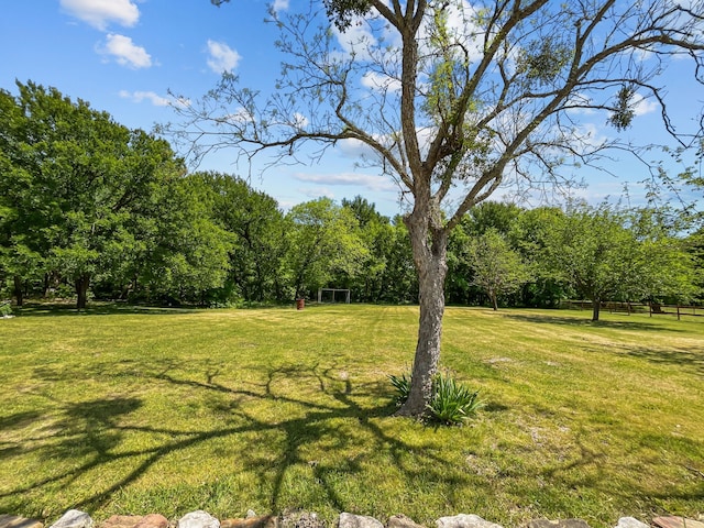 1435 Pioneer Ln, Lowry Crossing, TX 75069 - view of grassy yard