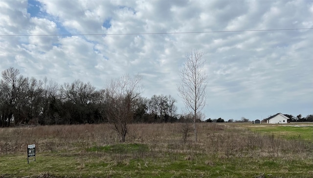 TBD County Road 1076 Lot 4, Celeste TX, 75423 land for sale