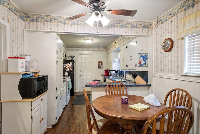 dining space with ceiling fan, sink, and dark hardwood / wood-style flooring