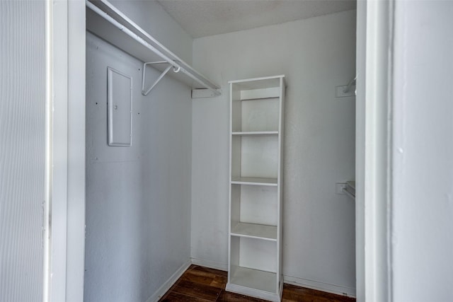 spacious closet featuring dark wood-type flooring