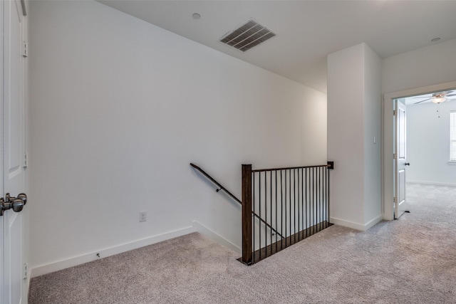 stairway featuring carpet floors