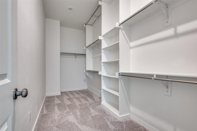 spacious closet featuring light carpet