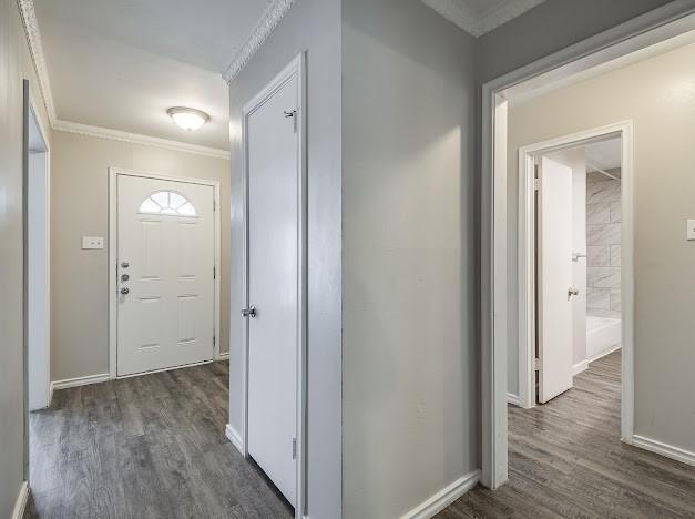 foyer entrance featuring crown molding and dark hardwood / wood-style floors