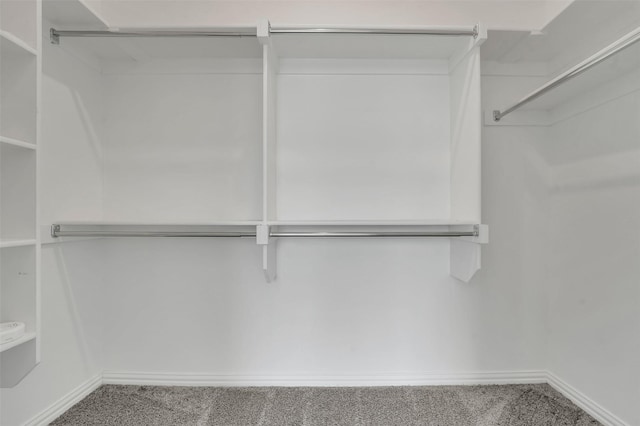 1004 Emil Pl, Allen, TX 75013 - walk in closet with carpet floors