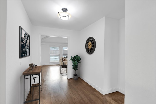 hall featuring baseboards and wood finished floors