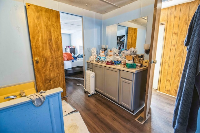 bathroom with radiator, vanity, and wood-type flooring