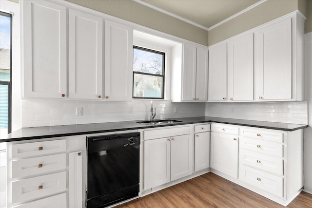 kitchen featuring black dishwasher, sink, and white cabinets