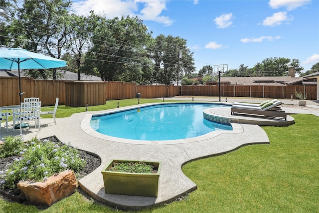 view of pool with a patio area and a yard