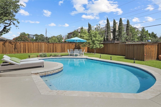 view of swimming pool with a patio and a yard