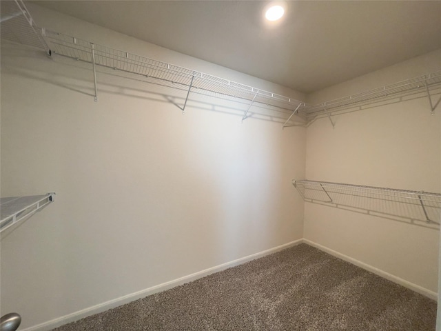 231 Marsh Ln, Princeton, TX 75407 - walk in closet featuring carpet flooring