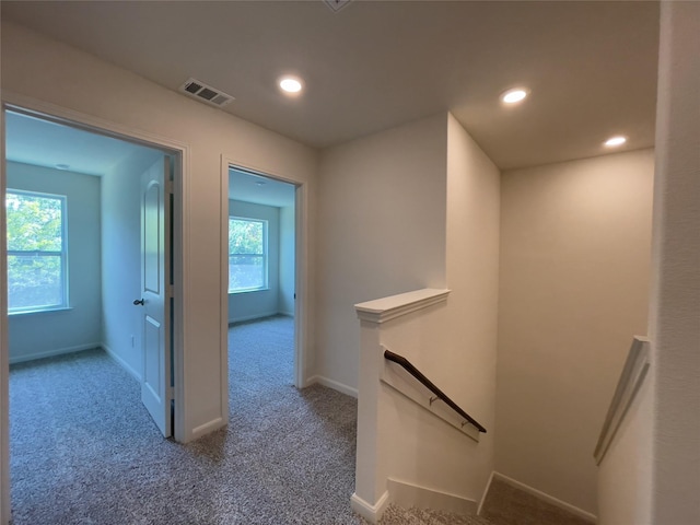 231 Marsh Ln, Princeton, TX 75407 - hall featuring plenty of natural light and carpet floors