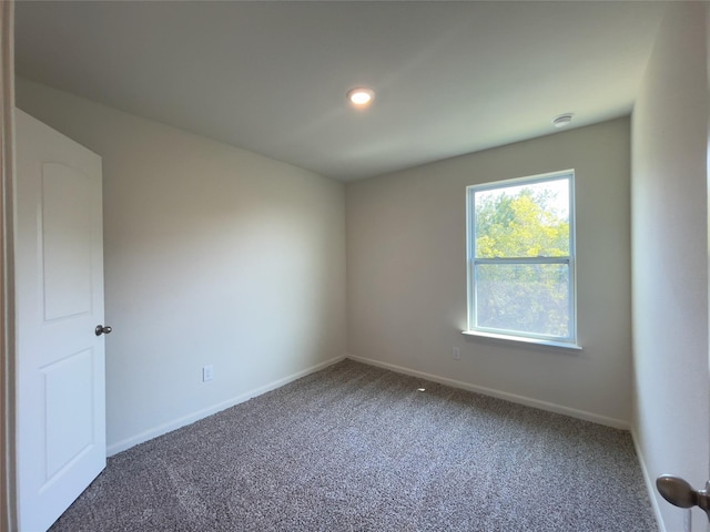231 Marsh Ln, Princeton, TX 75407 - unfurnished room with carpet flooring
