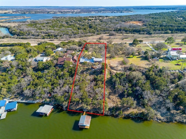 bird's eye view featuring a water view and a view of trees