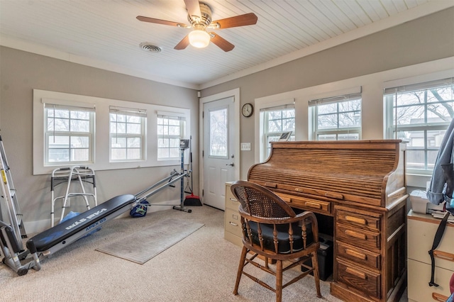 office with carpet, crown molding, visible vents, and a wealth of natural light