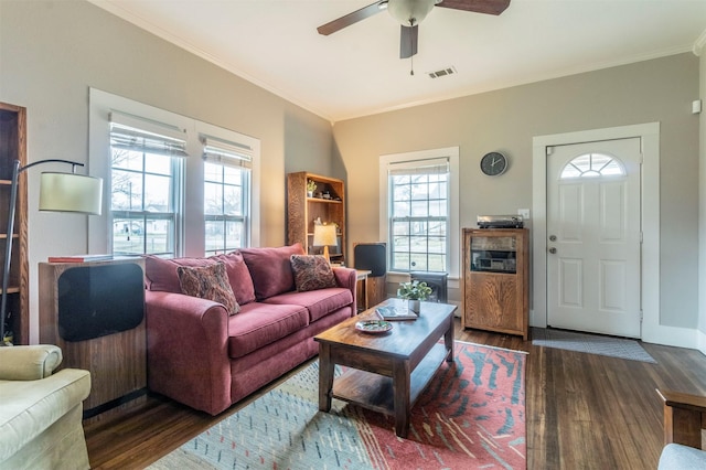 living room with dark wood-style floors, ceiling fan, visible vents, and crown molding