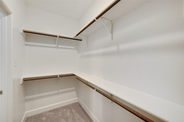 walk in closet with light carpet