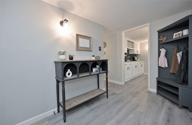 interior space with wood-type flooring and sink