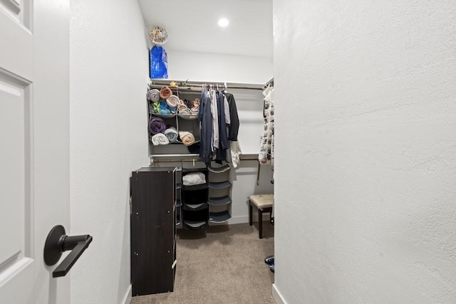 walk in closet with carpet flooring