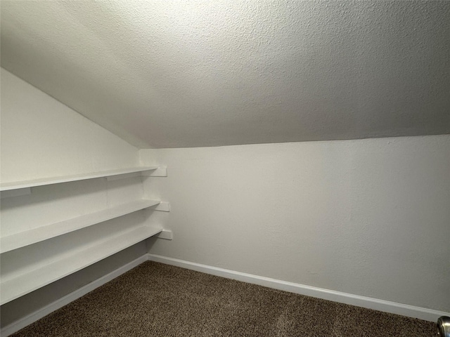 12009 Saddlehorn Ln, Mansfield, TX 76063 - walk in closet with dark carpet and lofted ceiling