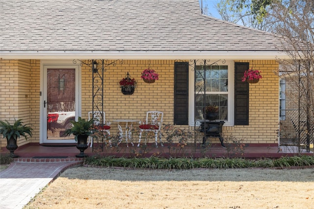 view of exterior entry with a shingled roof and brick siding