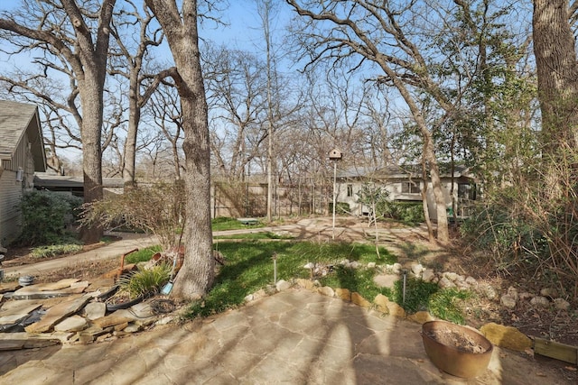 view of yard featuring a patio