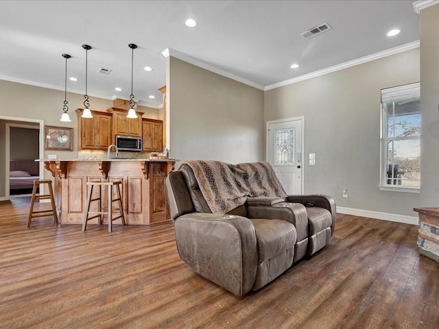 living room featuring ornamental molding, dark wood-type flooring, and sink