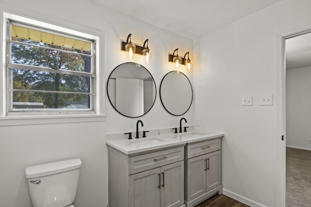 bathroom with toilet and vanity