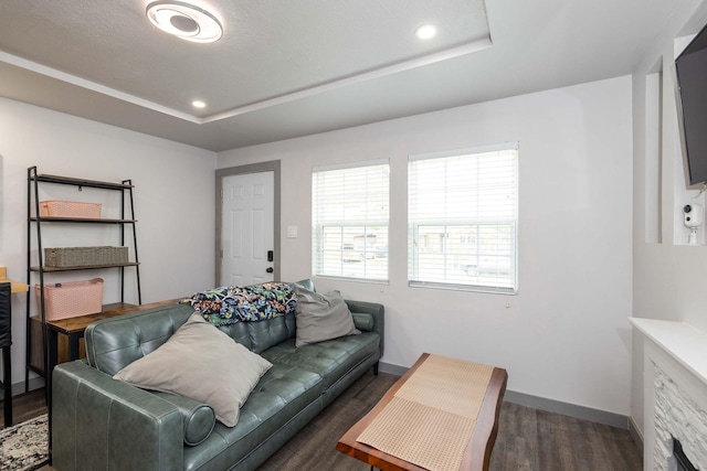 living room featuring dark hardwood / wood-style floors and a tray ceiling