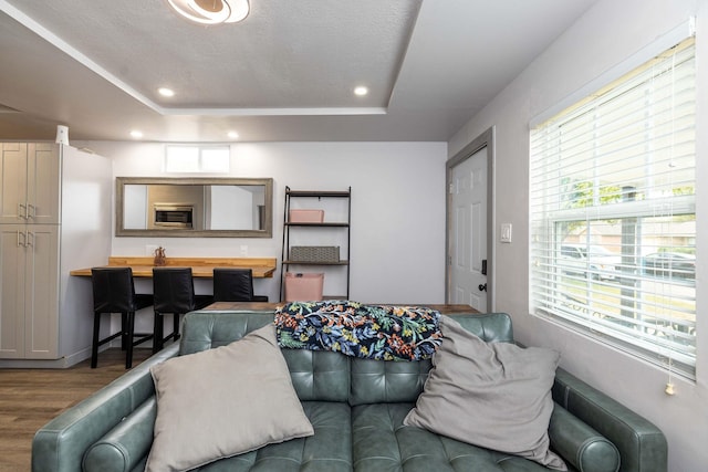 living room featuring a tray ceiling and hardwood / wood-style floors