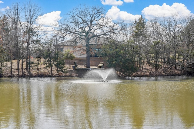 view of water feature