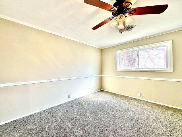 spare room featuring crown molding, ceiling fan, and carpet