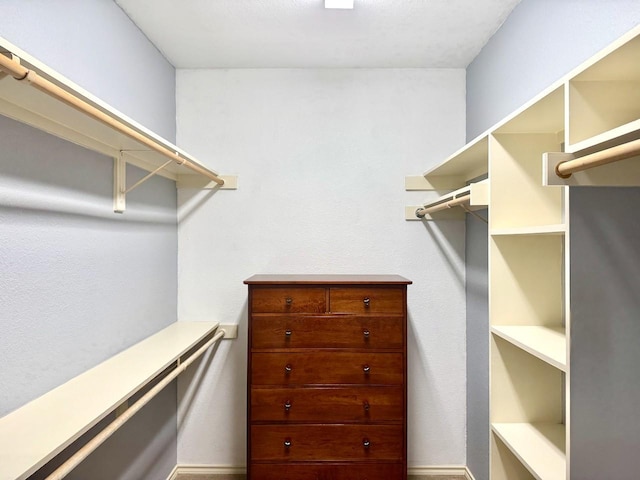 view of walk in closet