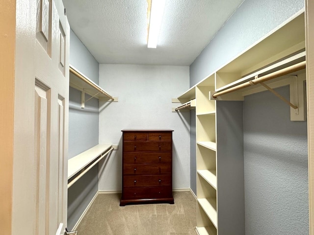 walk in closet featuring light colored carpet