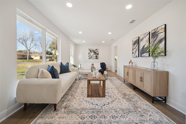 living room featuring wood-type flooring