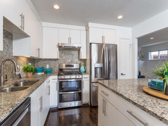 kitchen with under cabinet range hood, tasteful backsplash, stainless steel appliances, and a sink