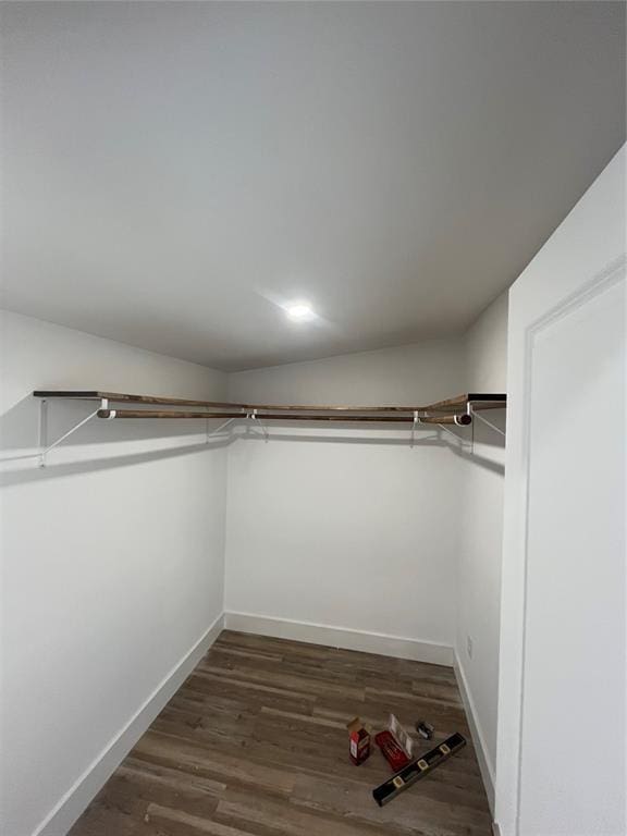 spacious closet featuring dark wood-type flooring