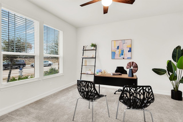 office space featuring ceiling fan and carpet flooring