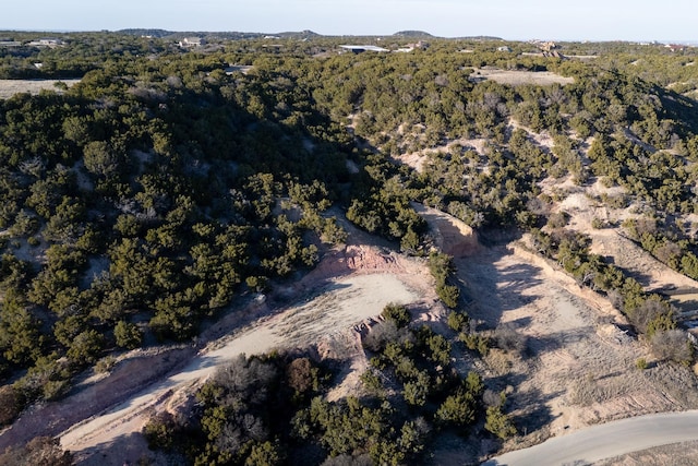 226 Cedar Creek Ranch Trl, Tuscola TX, 79562 land for sale