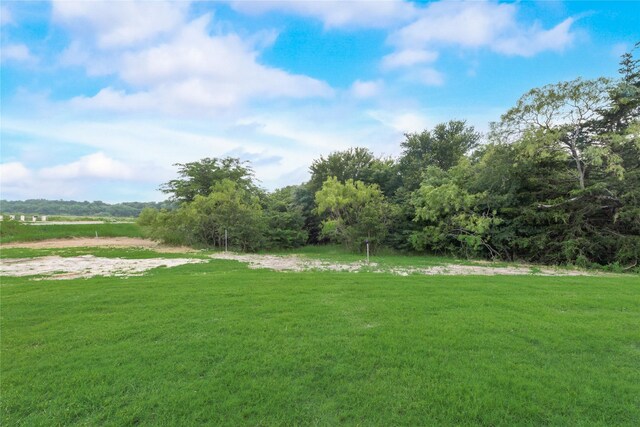 3915 Southern Oaks Dr, Royse City, TX 75189 - view of green lawn
