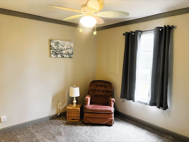 living area with ceiling fan and carpet