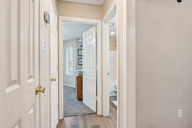 hallway featuring wood-type flooring