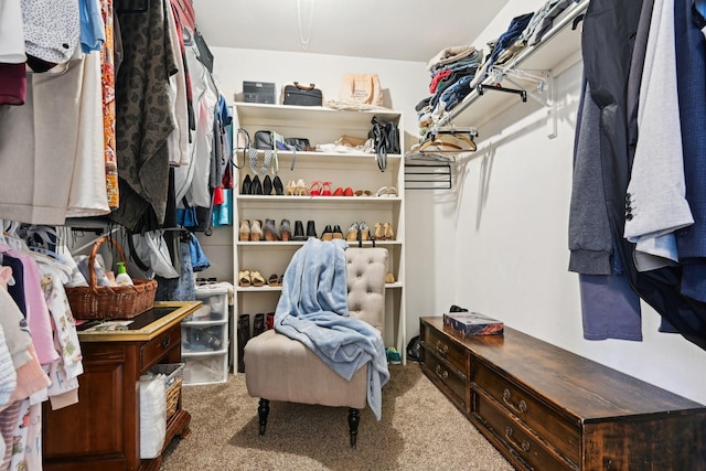 walk in closet with carpet