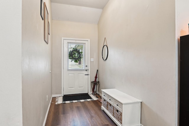 entryway featuring lofted ceiling and dark hardwood / wood-style flooring