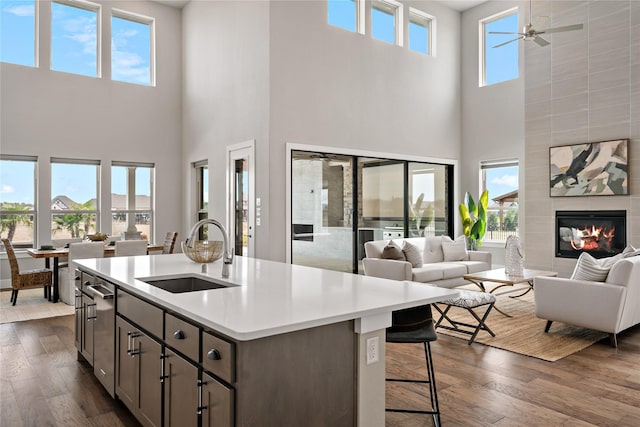 kitchen with dark wood finished floors, open floor plan, light countertops, and a sink