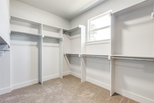 walk in closet with light colored carpet