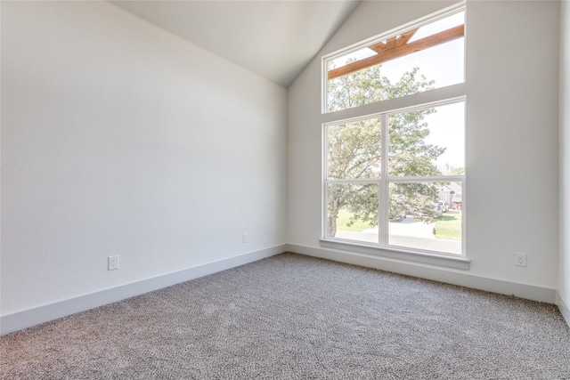 empty room with carpet and high vaulted ceiling