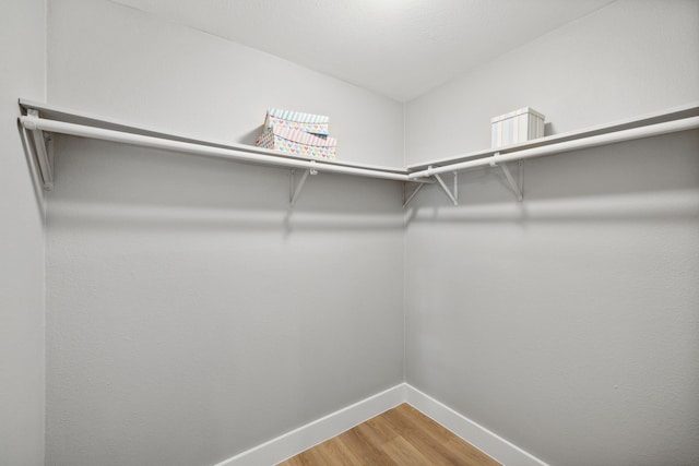 walk in closet featuring hardwood / wood-style flooring