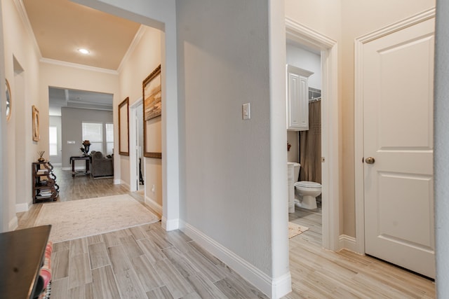 hallway featuring ornamental molding and light hardwood / wood-style floors