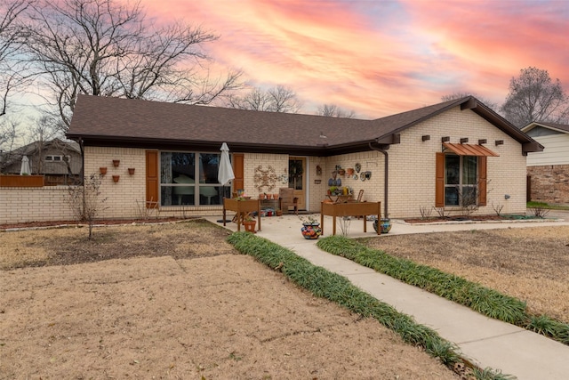 back house at dusk featuring a yard and a patio